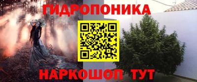 круглые Кингисепп