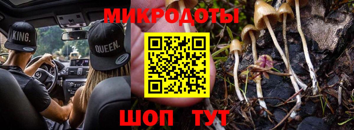 Кудымкар  Галлюциногенные грибы Psilocybe  Вход с VPN  наркота  Псилоцибиновые грибы мицелий 